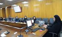 برگزاری کارگاه اخلاق در آموزش و تعهد حرفه‌ای در خدمات توانبخشی